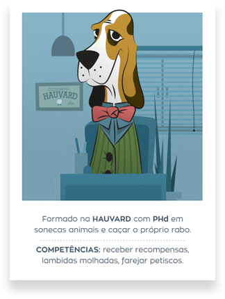 Como você usa seu Toca Zissou