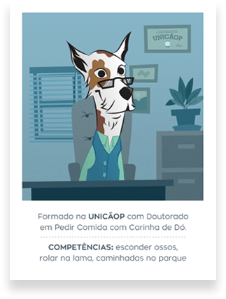 Como você usa seu Toca Zissou