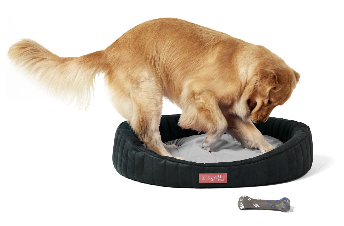 Como você usa seu Toca Zissou