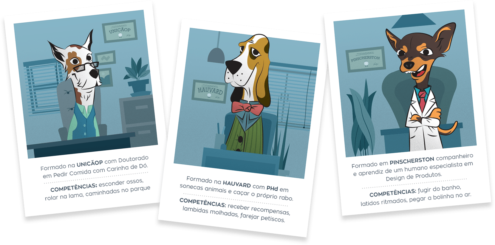 Nossos especialistas