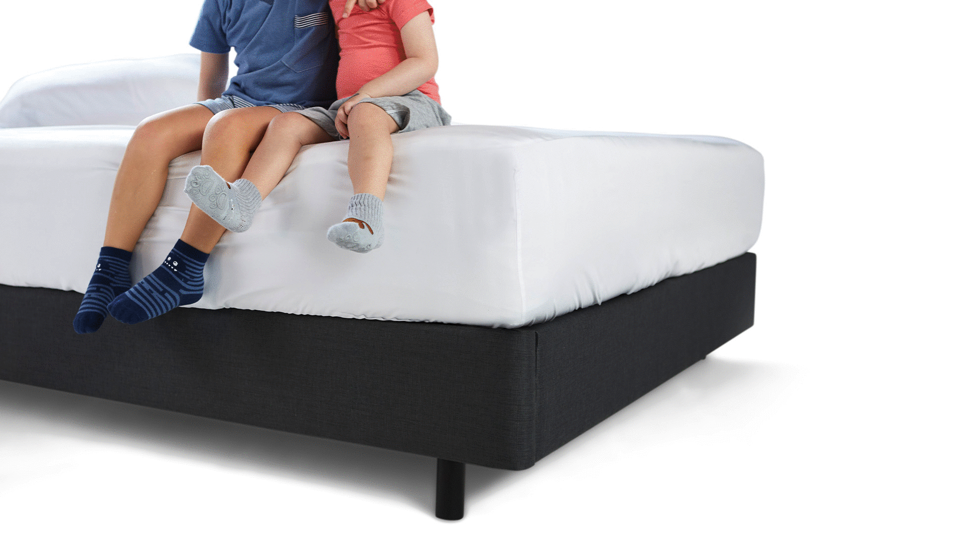 Base Zissou O conforto que você define