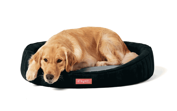 Como você usa seu Toca Zissou