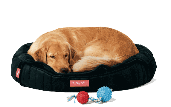 Como você usa seu Toca Zissou