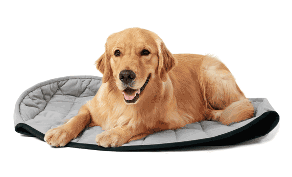 Como você usa seu Toca Zissou