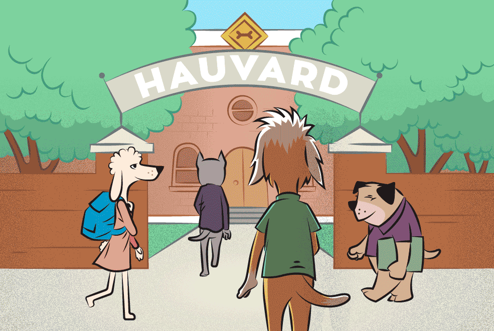 Como você usa seu Toca Zissou