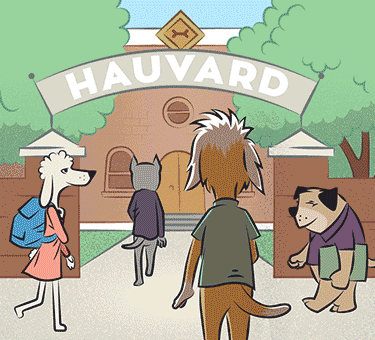 Como você usa seu Toca Zissou