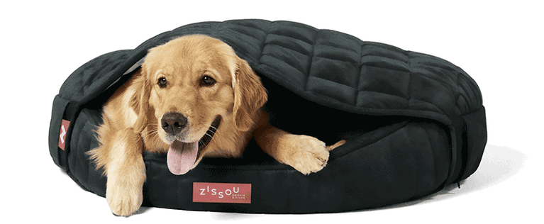 Toca Zissou O conforto que você define