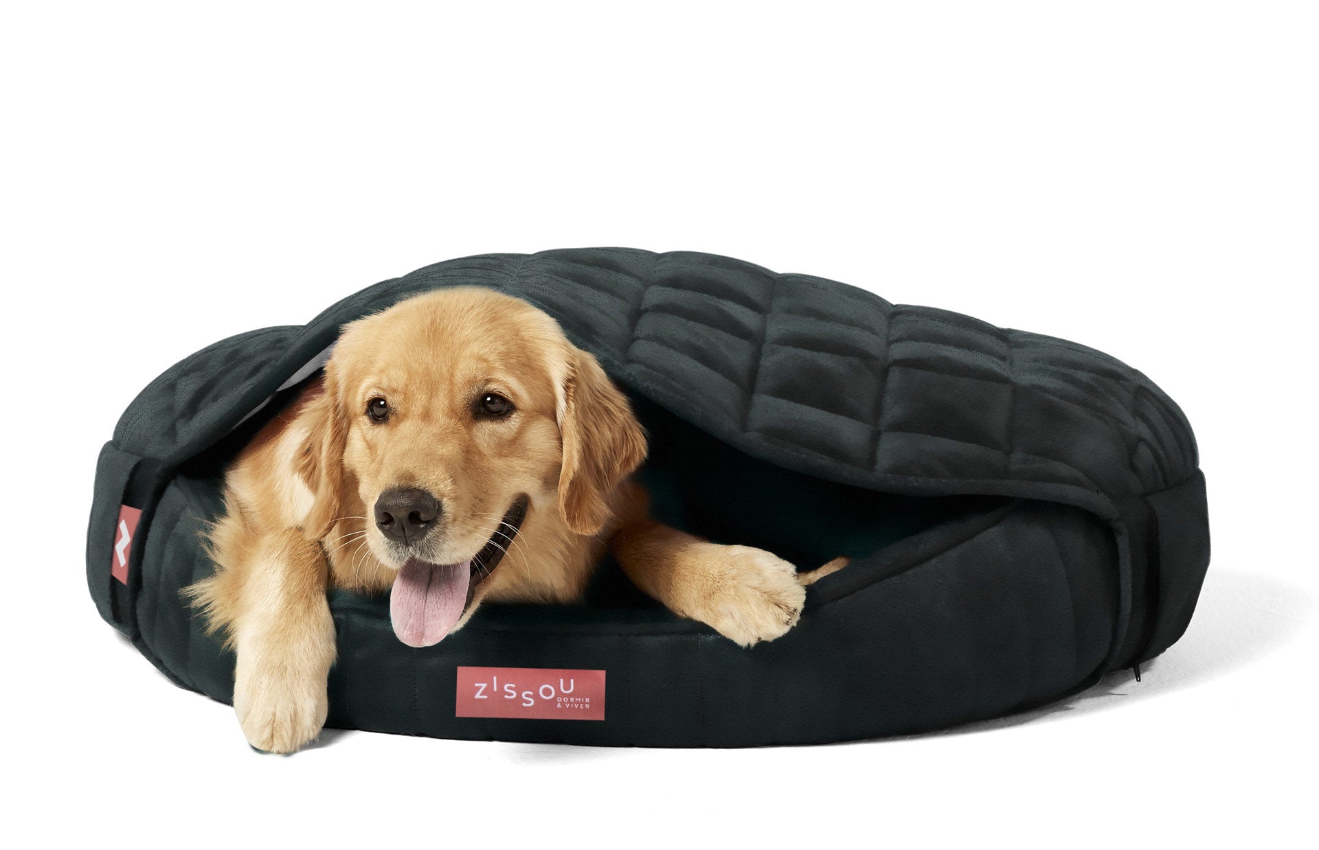 Toca Zissou O conforto que você define